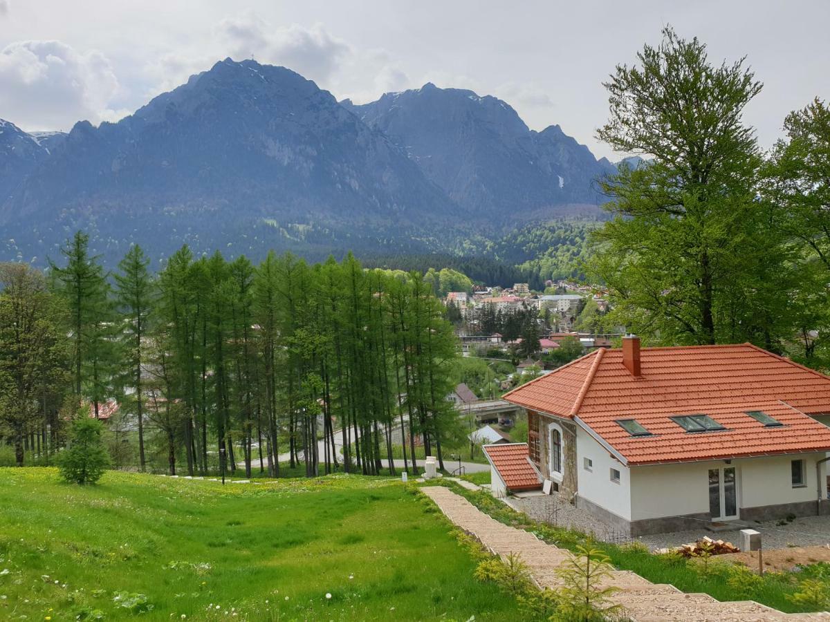 Castelul Cantacuzino Buşteni 外观 照片
