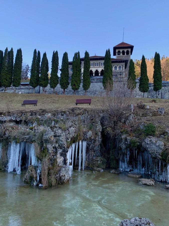 Castelul Cantacuzino Buşteni 外观 照片